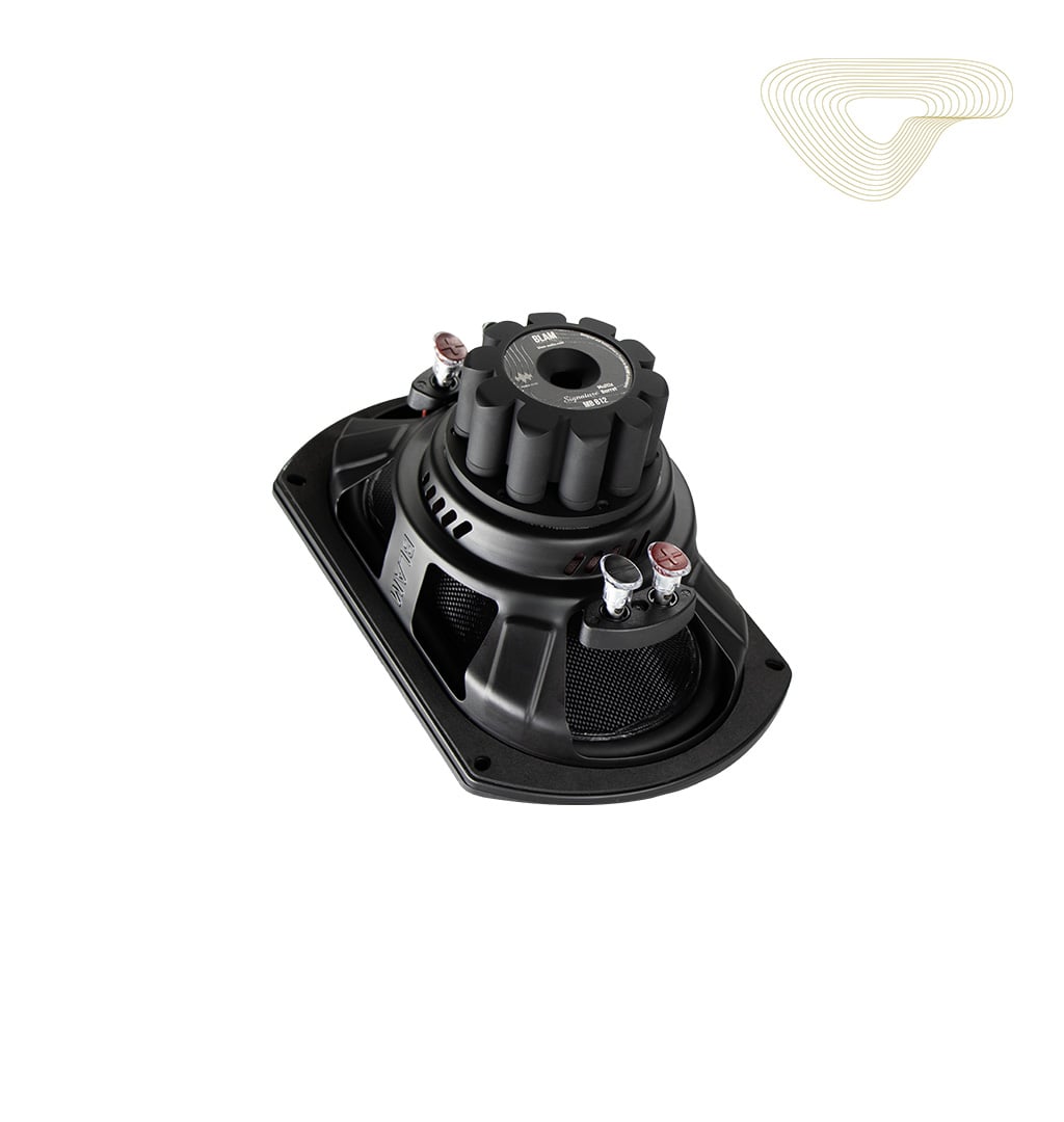 BAJO BLAM 12 X 8" 500W RMS - Imagen 2